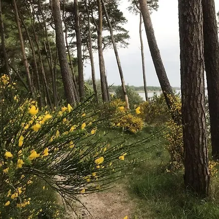 Casa vacanze Peninsula 2 Baltic Sea At The Golf Course *